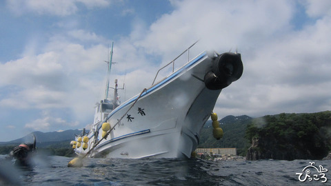 ボートダイビング