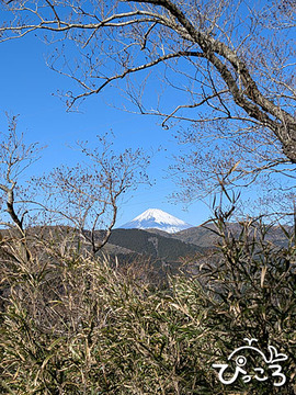 富士山_260204_020838920.MP