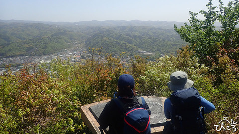 田方平野を見下ろす_P4131262