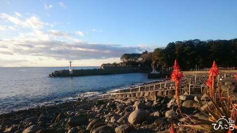 0104_八幡野ビーチ