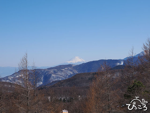 入笠山からの富士山ｎ_O30803
