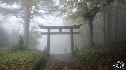 馬返し_PA192466