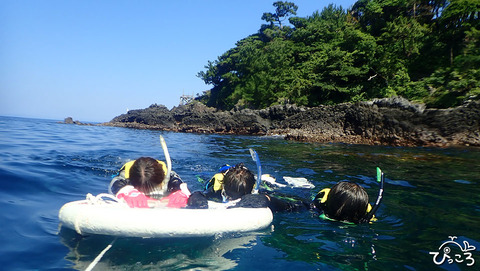 海の中に夢中_P7230166