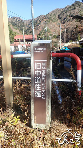 中道往還_PB222880