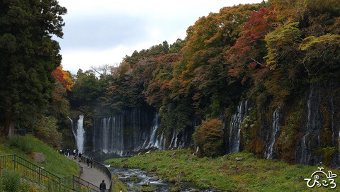 白糸の滝_DSC_1651