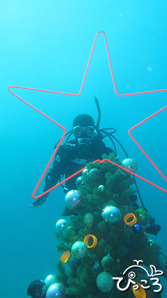 1219＿ツリーとダイバー