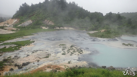 後生掛温泉自然研究路_P80318