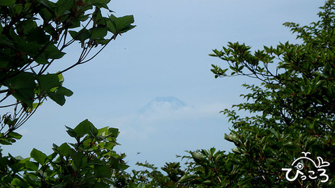 富士山