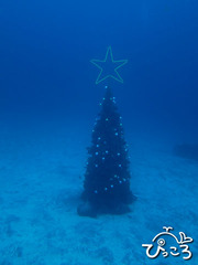 2012-11-29クリスマスツリー@IOP
