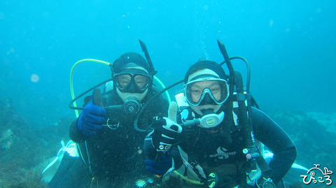 1127_diver
