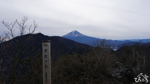 本社ヶ丸から富士山_