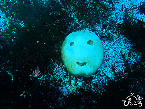 青い海が広がっていました