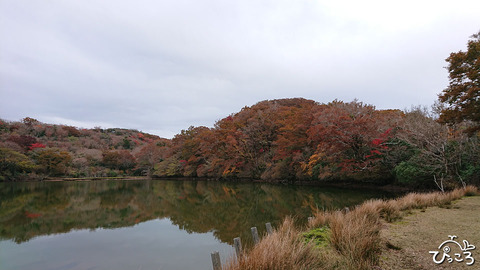 八丁池_DSC_9457