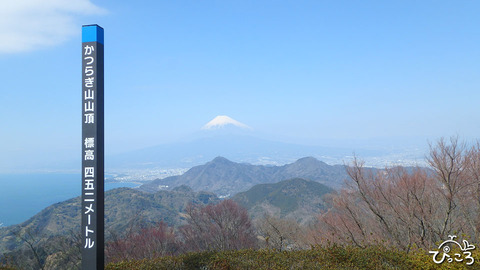 0312_葛城山からの富士山