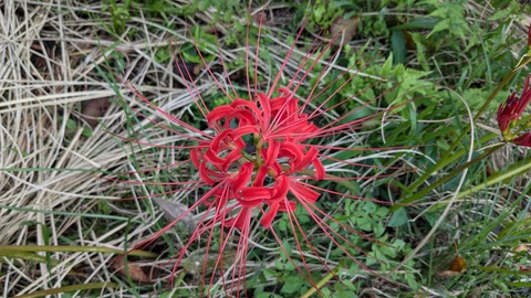 PXL_20240922_064739940