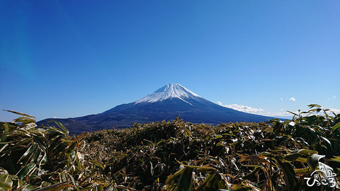 2024/1/7・富士山西麓・竜ヶ岳