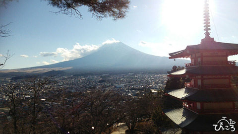 0114新倉山浅間公園より富士
