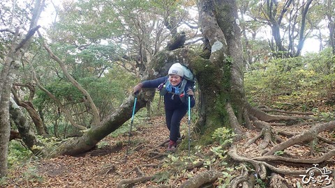 ヘビブナ2号_PA272568