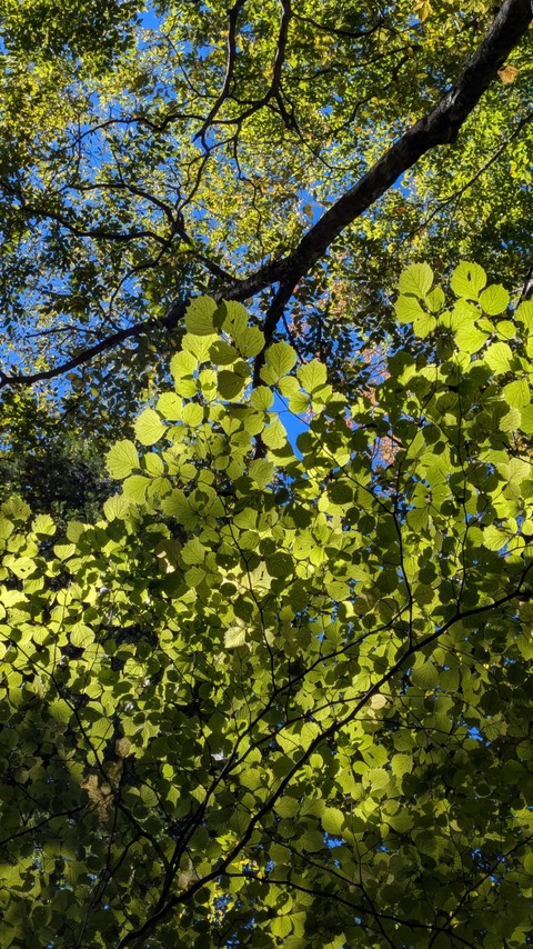 PXL_20251028_030015309