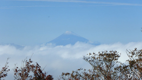 20161101_富士山