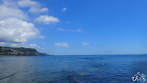 富戸の海_P8050168