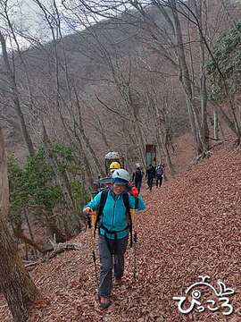 ゴミを背負って下山_