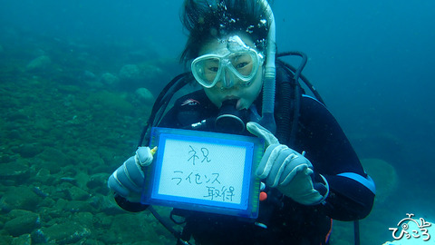 DIVER_-PB030383