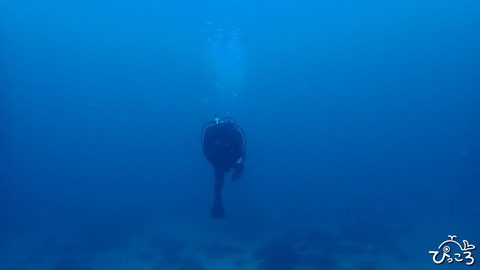 ゲストさん_P3260819