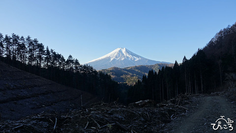 不動湯から富士山