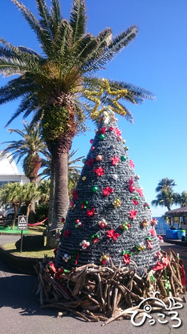 1125_陸のツリー