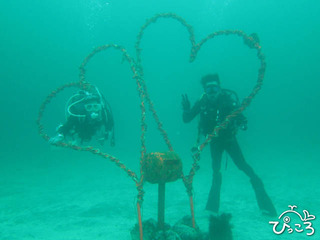 616_diver＠iop