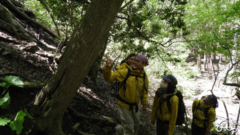 210502_矢筈山_DSCN3291