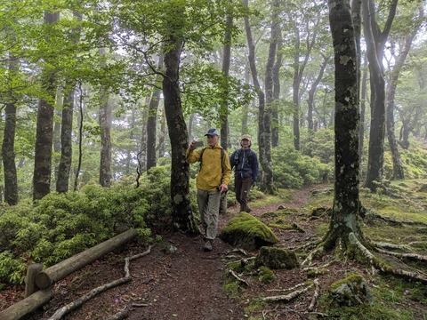 PXL_20260523_021945521
