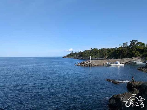 富戸_260512_063015560.MP