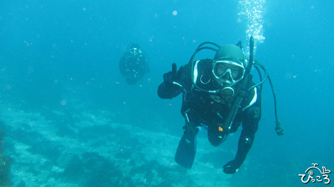 1228_diver