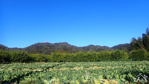 縦走した山_P1260119