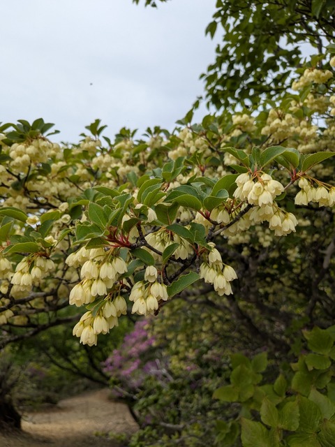 PXL_20260602_041219851