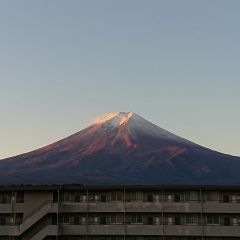 IMG_20201128_070056_629