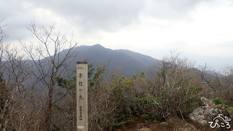 本社ヶ丸_P4211204