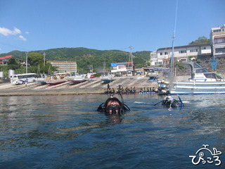 港からのエントリー