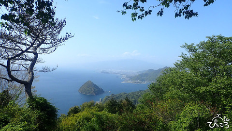 淡島と富士山_P4131298