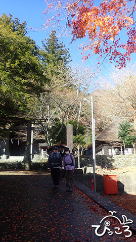 諏訪神社_PB222888
