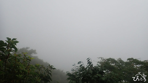 展望なし_P8221924