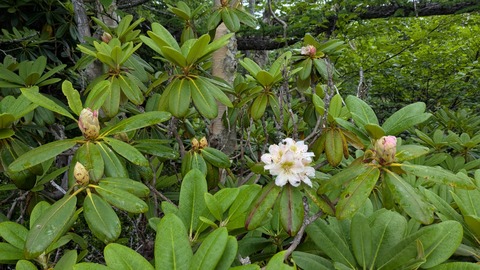 PXL_20250703_022155010