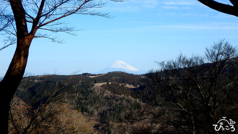 富士山_P3100119