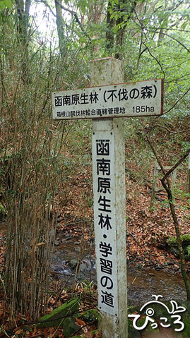 学習の道_P5010102