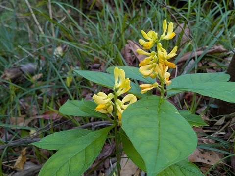 PXL_20260525_044550807~2