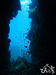 2012-11-20アーチ@熱川