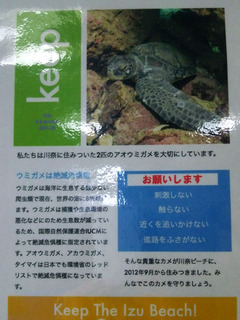 カメを守ろう