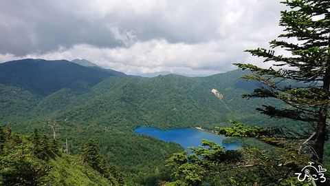 大沼池_DSC_6743